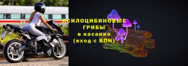 а пвп мука Дмитриев