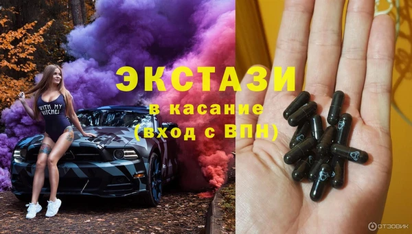 индика Дмитров