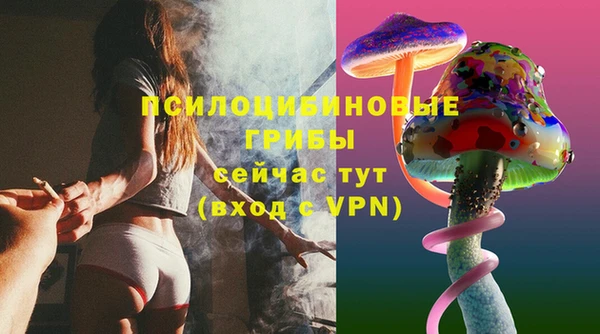 ПСИЛОЦИБИНОВЫЕ ГРИБЫ Надым