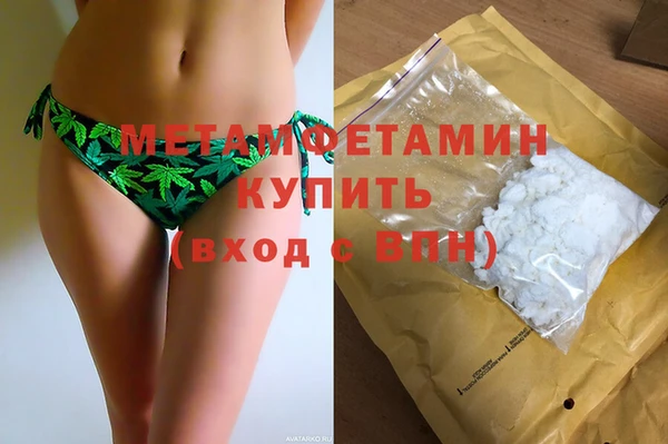 индика Дмитров